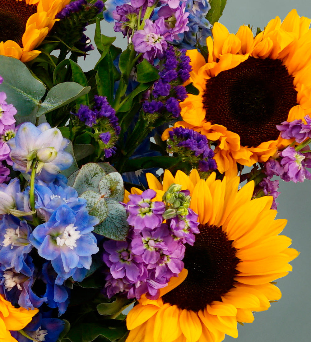 Sunflower Dreams