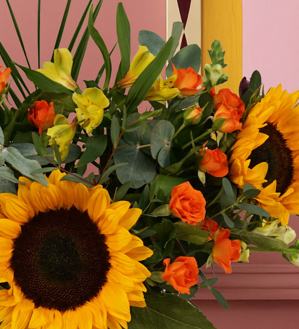 Sunflower Fields